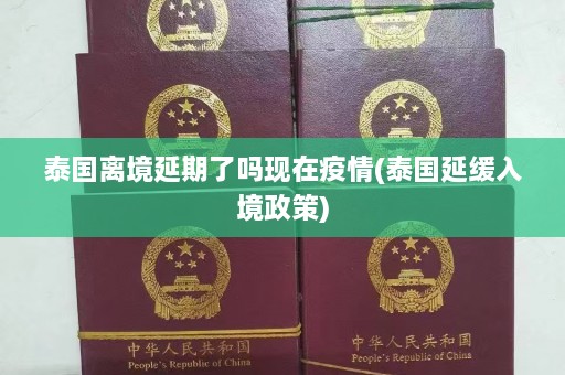 泰国离境延期了吗现在疫情(泰国延缓入境政策)