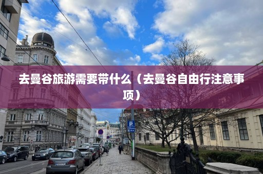 去曼谷旅游需要带什么（去曼谷自由行注意事项）