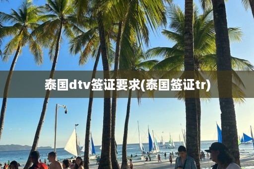 泰国dtv签证要求(泰国签证tr)  第1张