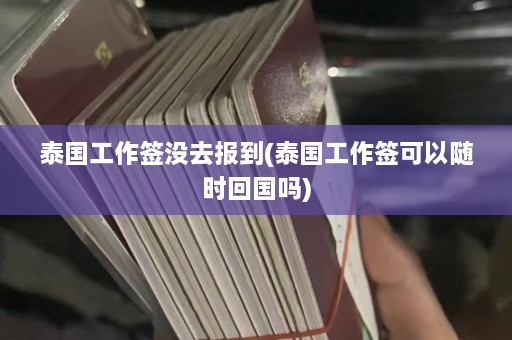 泰国工作签没去报到(泰国工作签可以随时回国吗)  第1张