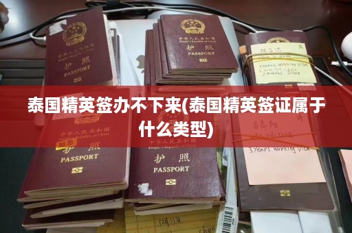 泰国精英签办不下来(泰国精英签证属于什么类型)