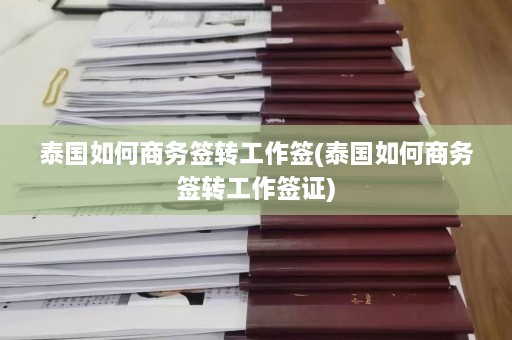 泰国如何商务签转工作签(泰国如何商务签转工作签证)  第1张