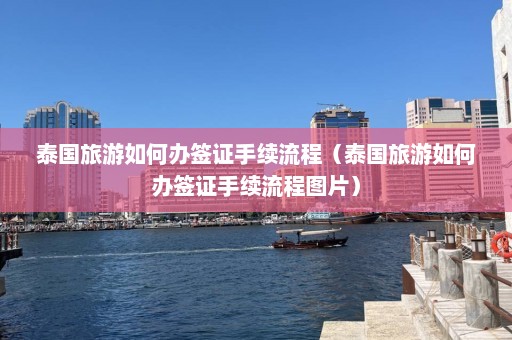 泰国旅游如何办签证手续流程（泰国旅游如何办签证手续流程图片）