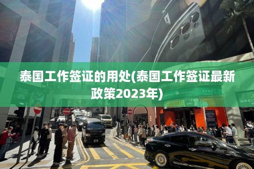 泰国工作签证的用处(泰国工作签证最新政策2023年)  第1张