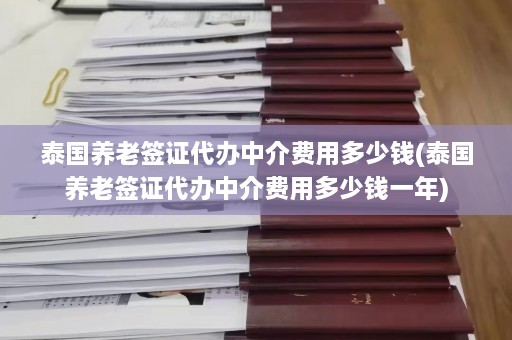 泰国养老签证代办中介费用多少钱(泰国养老签证代办中介费用多少钱一年)