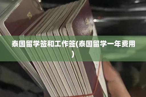 泰国留学签和工作签(泰国留学一年费用)  第1张