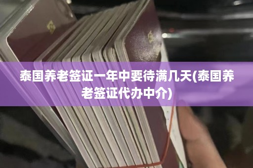 泰国养老签证一年中要待满几天(泰国养老签证代办中介)