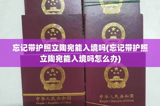 忘记带护照立陶宛能入境吗(忘记带护照立陶宛能入境吗怎么办)