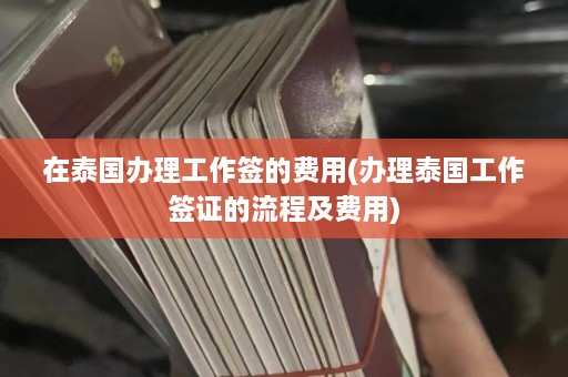 在泰国办理工作签的费用(办理泰国工作签证的流程及费用)  第1张