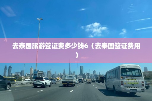 去泰国旅游签证费多少钱6（去泰国签证费用）