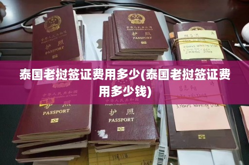 泰国老挝签证费用多少(泰国老挝签证费用多少钱)  第1张