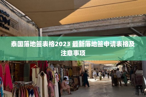 泰国落地签表格2023 最新落地签申请表格及注意事项