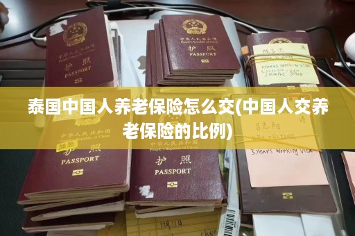 泰国中国人养老保险怎么交(中国人交养老保险的比例)