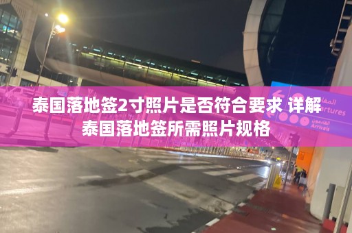 泰国落地签2寸照片是否符合要求 详解泰国落地签所需照片规格