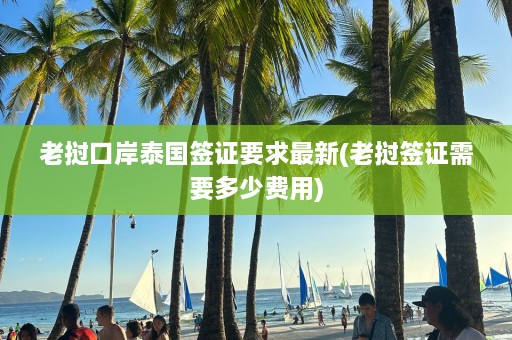 老挝口岸泰国签证要求最新(老挝签证需要多少费用)  第1张