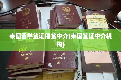 泰国留学签证催签中介(泰国签证中介机构)