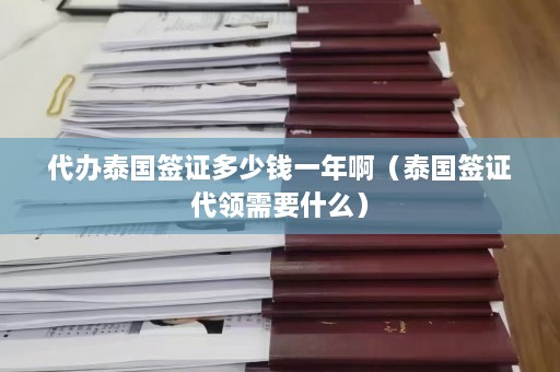 代办泰国签证多少钱一年啊（泰国签证代领需要什么）  第1张