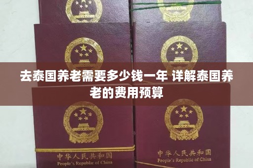 去泰国养老需要多少钱一年 详解泰国养老的费用预算  第1张