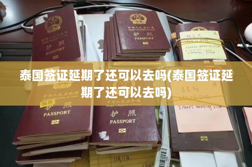 泰国签证延期了还可以去吗(泰国签证延期了还可以去吗)