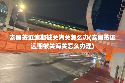 泰国签证逾期被关海关怎么办(泰国签证逾期被关海关怎么办理)  第1张