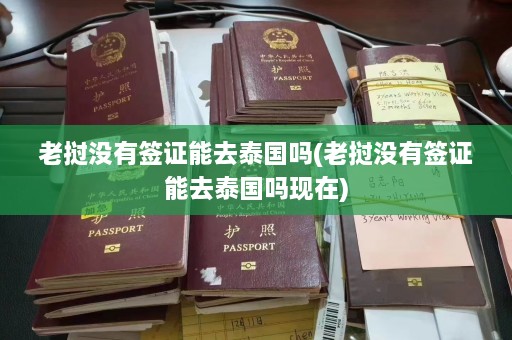 老挝没有签证能去泰国吗(老挝没有签证能去泰国吗现在)