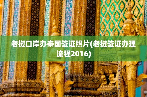 老挝口岸办泰国签证照片(老挝签证办理流程2016)