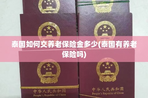 泰国如何交养老保险金多少(泰国有养老保险吗)