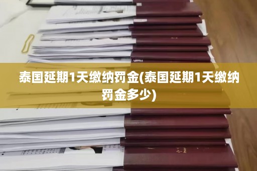 泰国延期1天缴纳罚金(泰国延期1天缴纳罚金多少)