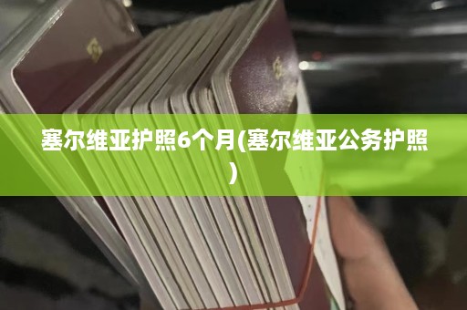 塞尔维亚护照6个月(塞尔维亚公务护照)  第1张