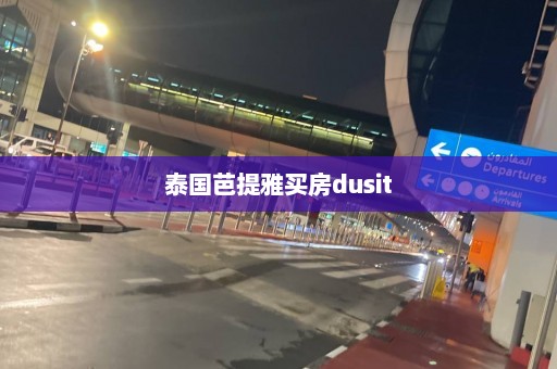 泰国芭提雅买房dusit