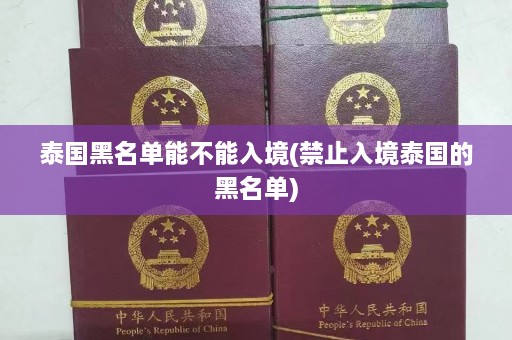 泰国黑名单能不能入境(禁止入境泰国的黑名单)