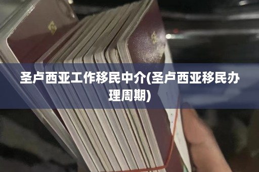 圣卢西亚工作移民中介(圣卢西亚移民办理周期)  第1张