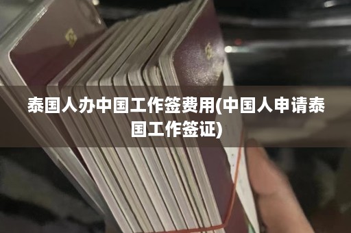 泰国人办中国工作签费用(中国人申请泰国工作签证)  第1张