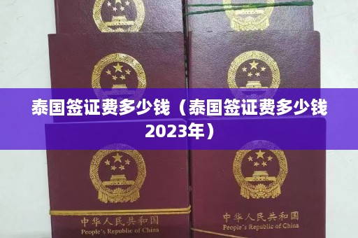 泰国签证费多少钱（泰国签证费多少钱2023年）  第1张