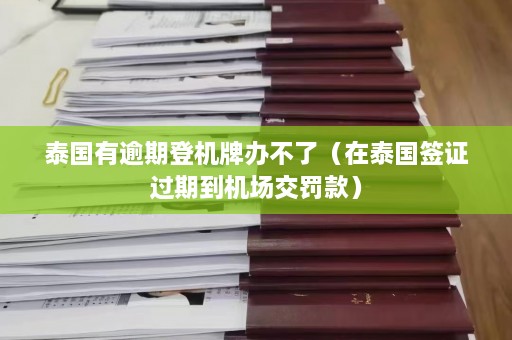 泰国有逾期登机牌办不了（在泰国签证过期到机场交罚款）  第1张