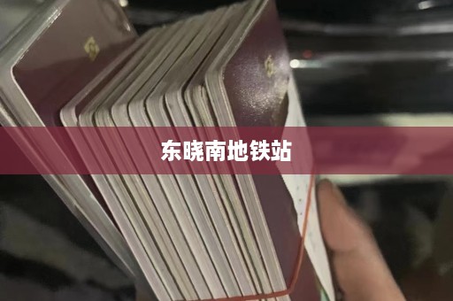 东晓南地铁站  第1张