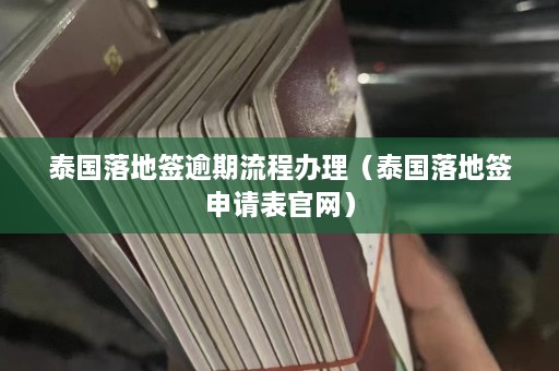 泰国落地签逾期流程办理（泰国落地签申请表官网）  第1张