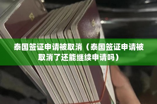 泰国签证申请被取消（泰国签证申请被取消了还能继续申请吗）  第1张