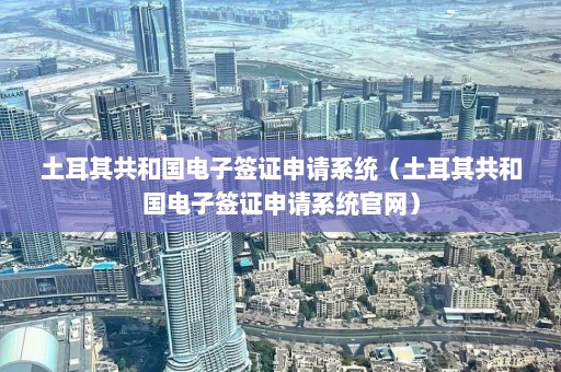 土耳其共和国电子签证申请系统（土耳其共和国电子签证申请系统官网）