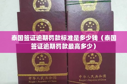 泰国签证逾期罚款标准是多少钱（泰国签证逾期罚款更高多少）  第1张