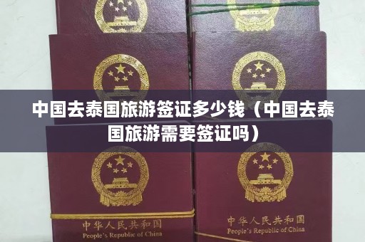 中国去泰国旅游签证多少钱（中国去泰国旅游需要签证吗）  第1张