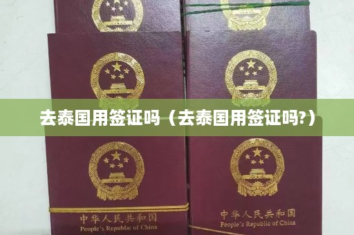 去泰国用签证吗（去泰国用签证吗?）  第1张