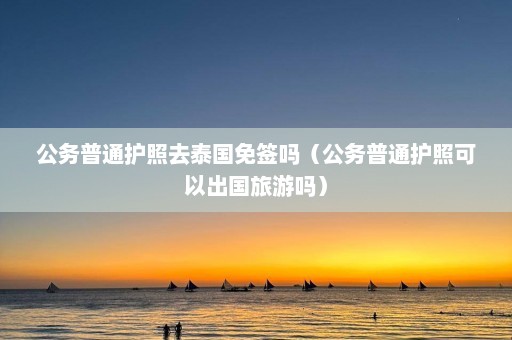 公务普通护照去泰国免签吗（公务普通护照可以出国旅游吗）