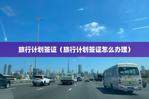 旅行计划签证（旅行计划签证怎么办理）