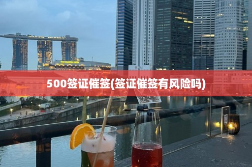 500签证催签(签证催签有风险吗)