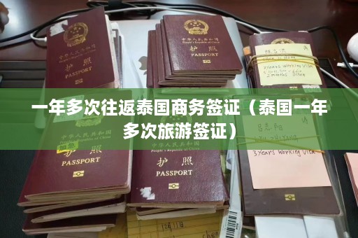 一年多次往返泰国商务签证（泰国一年多次旅游签证）  第1张