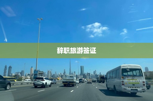 辞职旅游签证