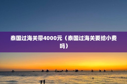 泰国过海关带4000元（泰国过海关要给小费吗）  第1张