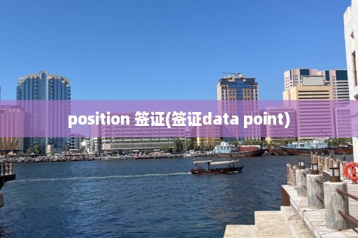 position 签证(签证data point)