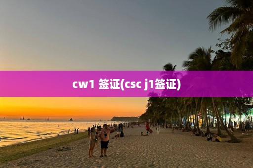 cw1 签证(csc j1签证)